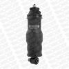 VOLVO 21170611 Shock Absorber, cab suspension